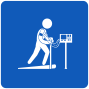 Exercise Stress ECG (Stress Test)